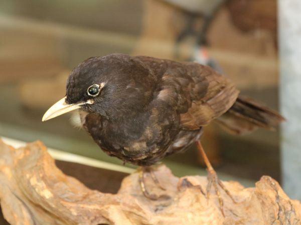 Impressionen vom KreisFamilienTag 2018 